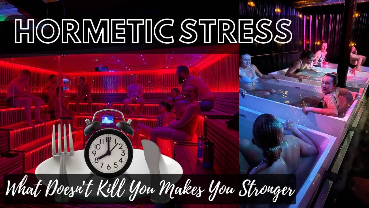 Hormetic stress: What Doesn’t Kill You Makes You Stronger