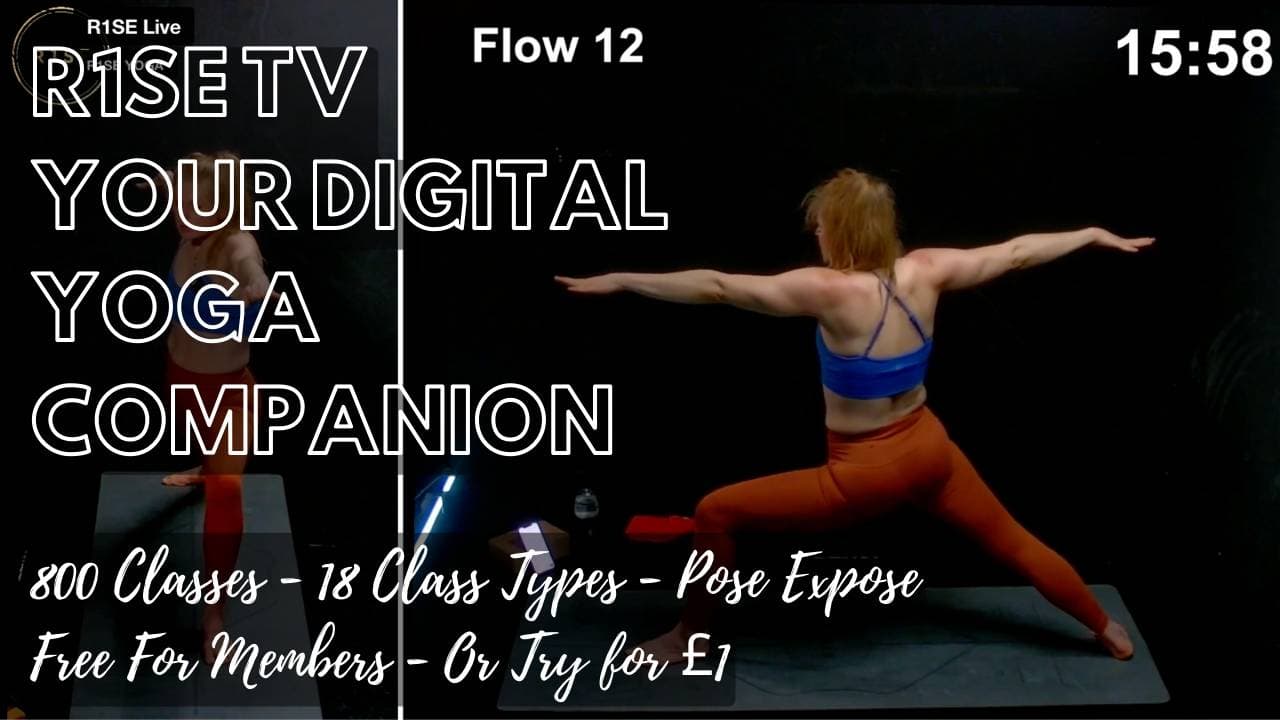 R1SE Online: Your Digital R1SE Companion